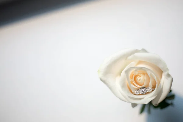 Gros Plan Une Belle Boutonnière Sur Table — Photo