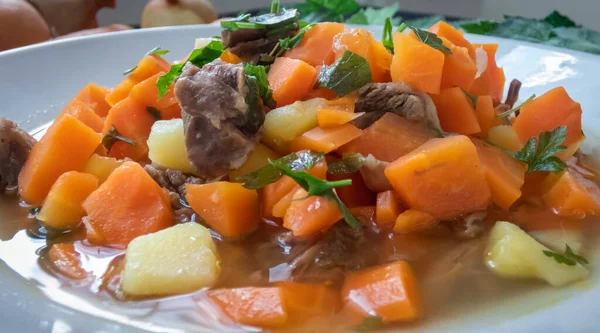 Gros Plan Délicieux Ragoût Carottes Bœuf Servi Sur Une Assiette — Photo