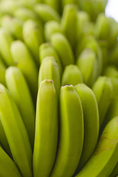 Close Detail Bunch Green Bananas Tree Canary Islands Spain Stock Photo