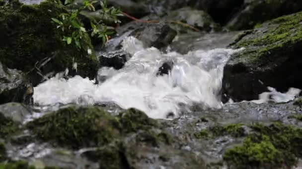 Gyönyörű Vízesés Erdőben — Stock videók