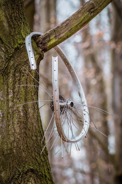 Colpo Verticale Una Ruota Bici Danneggiata Appesa Ramo Albero — Foto Stock