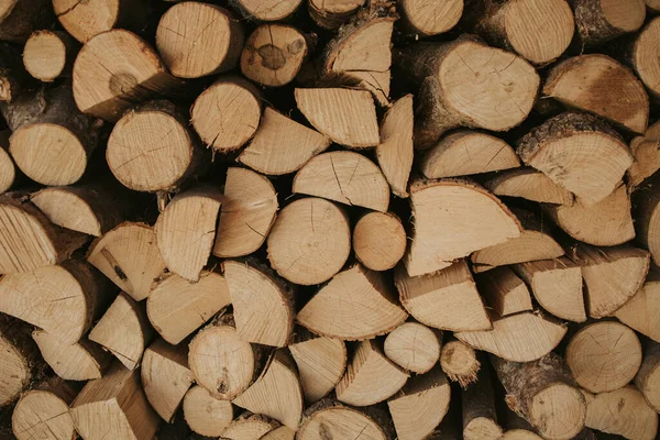 Ein Haufen Zusammengeteilter Baumstämme Schöne Holzige Textur — Stockfoto