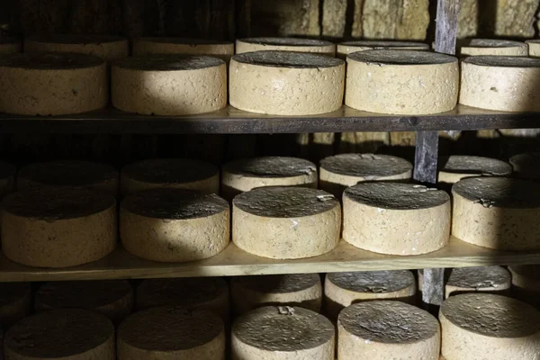 선반에서 발효하는 치즈의 클로즈업 — 스톡 사진
