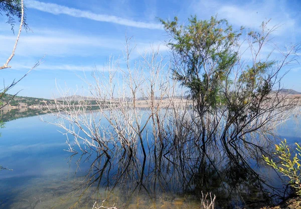 Zonnige Dag Mooie Andalusische Waterplaats — Stockfoto