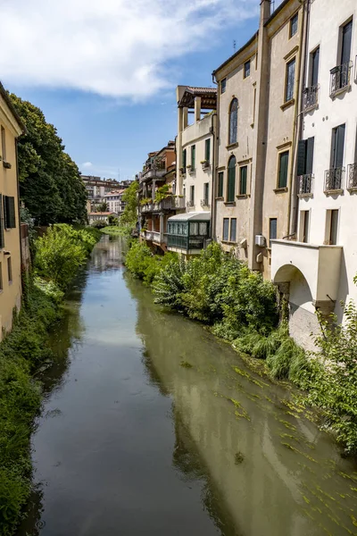 Вузька Річка Оточена Старими Житловими Будинками Зеленню Падуї Італія — стокове фото