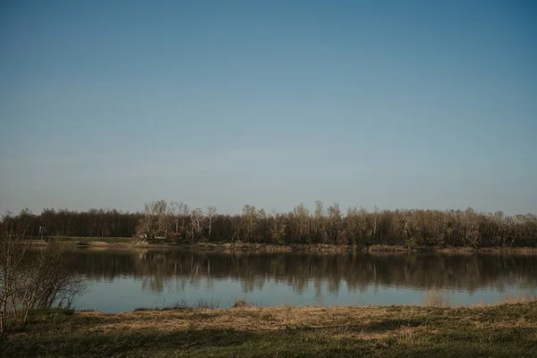 Прекрасний Знімок Тихого Озера Біля Густого Лісу Дерев Яскраво Синім — стокове фото