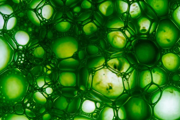 A macro shot of soap bubbles in green color