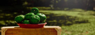 A closeup of vibrant green zapallito (Cucurbita maxima) pumpkins in a bowl clipart