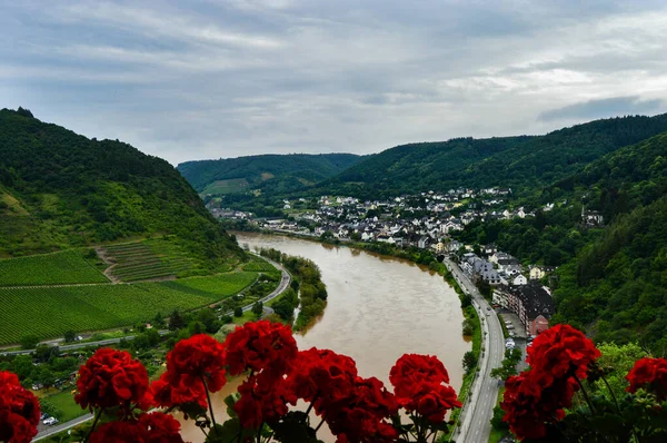 ドイツのワインの町コケムとモーゼル川の魅惑的な景色 — ストック写真