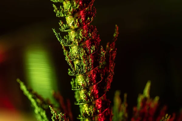 Крупним Планом Знімок Штучної Зеленої Рослини Барвистому Фоні — стокове фото