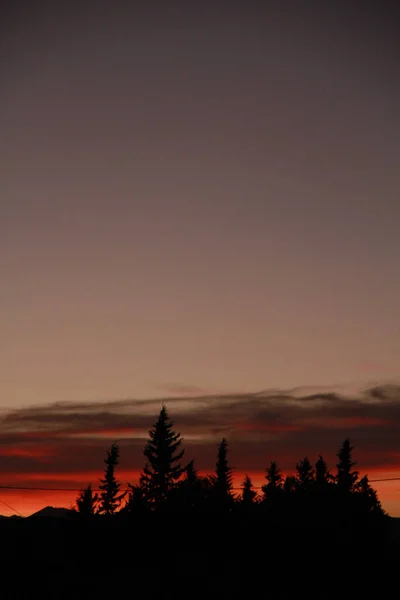 Sylwetki Jodłowego Lasu Kolorowe Zachmurzone Niebo Zachodzie Słońca — Zdjęcie stockowe