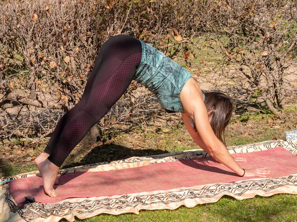 Жінка Брюнета Робить Уроки Йоги Парку Сонячний День Носить Маску — стокове фото