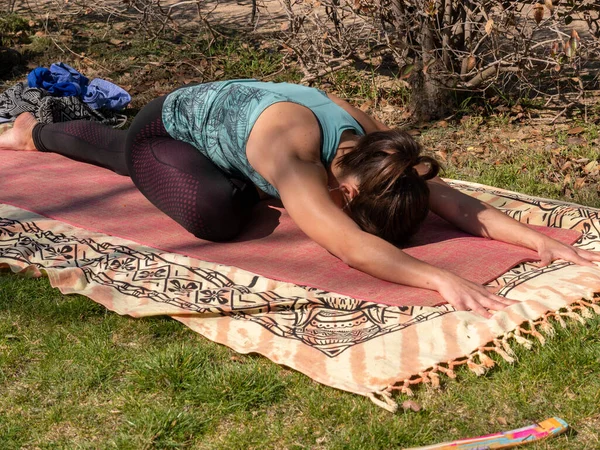Una Morena Haciendo Clases Yoga Parque Día Soleado —  Fotos de Stock