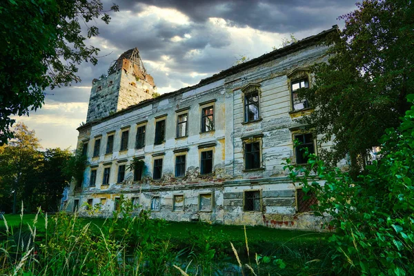 Viejo Edificio Abandonado Hermoso Bosque Verde Con Árboles Plantas Bajo — Foto de Stock
