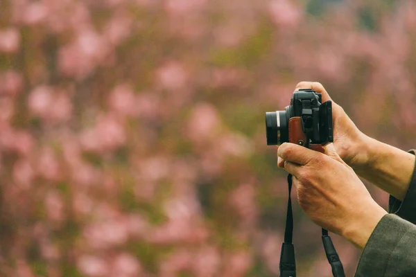 Kvinnliga Händer Tar Ett Foto Med Kamera — Stockfoto