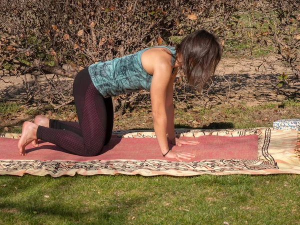 Una Mujer Morena Haciendo Clases Yoga Parque Día Soleado Con —  Fotos de Stock