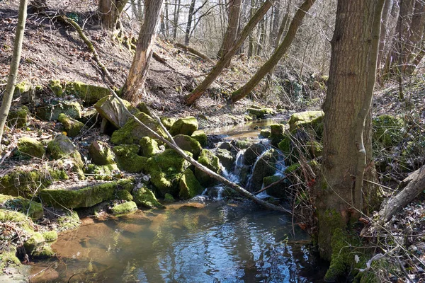 Smal Flod Som Rinner Genom Skogen Hösten Eller Vintern — Stockfoto