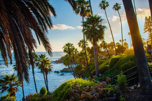 Het Prachtige Uitzicht Blauw Water Omringd Door Palmbomen Onder Een — Stockfoto