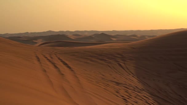 Désert Avec Magnifiques Vagues Sable Des Traces Pneus Voiture Dans — Video