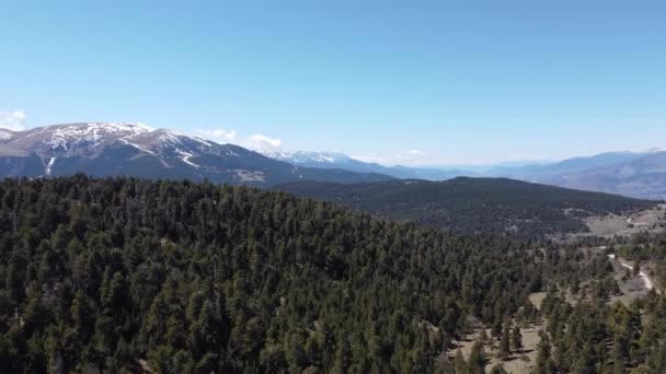 Vue Sur Une Rivière Montagne Belle Forêt Est Couverte Neige — Video