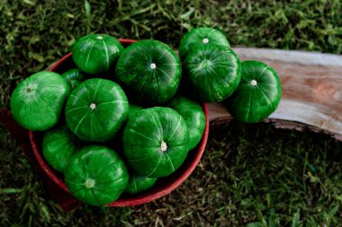 A closeup of vibrant green zapallito (Cucurbita maxima) pumpkins in a bowl clipart