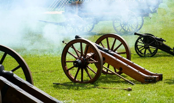 Een Close Shot Van Afgevuurde Oude Kanonnen Een Veld Omringd — Stockfoto