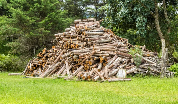 Det Gröna Gräset Med Vedstapel Och Skog — Stockfoto