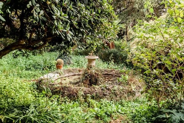 Veduta Naturale Una Vecchia Fontana Coperta Piante Parco — Foto Stock