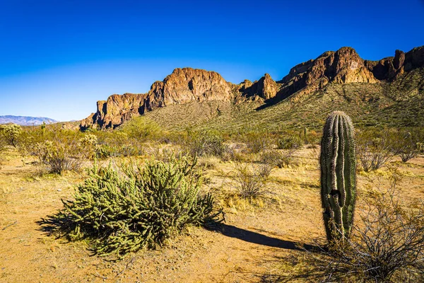 Een Schilderachtig Uitzicht Het Gedroogde Terrein Woestijn Van Arizona Usa — Stockfoto