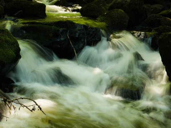 Green River Seaweeds Mossy Stones Flowing Forest — Stock Photo, Image