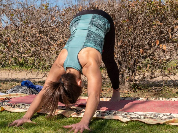Una Morena Española Practicando Yoga Parque Día Soleado —  Fotos de Stock
