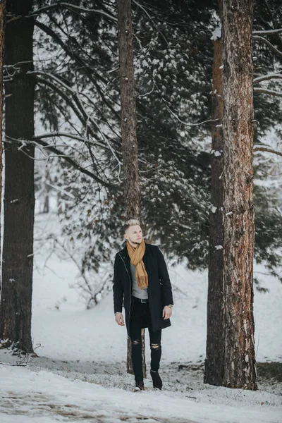 雪の森を歩く茶色のスカーフを着た黒い冬の服のハンサムな若い男 — ストック写真