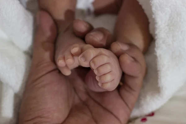 Primer Plano Una Persona Sosteniendo Los Pies Bebé Recién Nacido — Foto de Stock