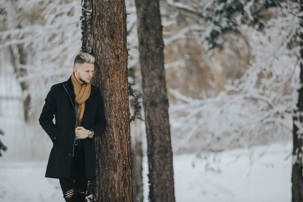 Handsome Young Man Black Winter Outfit Brown Scarf Leaning Forest — 스톡 사진