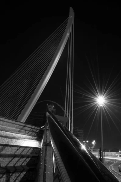 Los Detalles Ciudad Las Artes Las Ciencias Valencia España — Foto de Stock