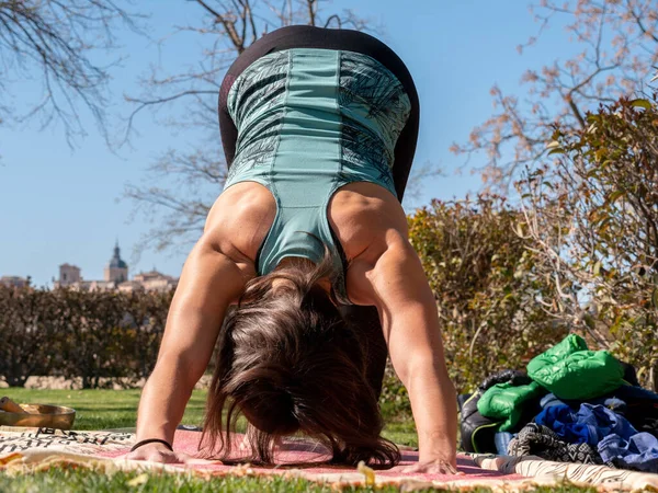 Una Morena Haciendo Clases Yoga Parque Día Soleado —  Fotos de Stock