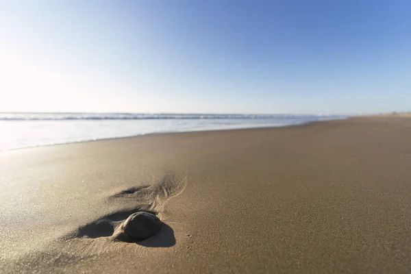 Primo Piano Una Pietra Una Spiaggia Sabbia — Foto Stock