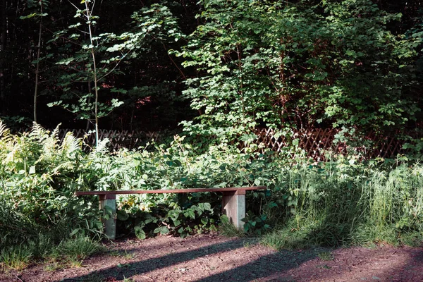 Una Panchina Solitaria Nel Tranquillo Parco Una Giornata Sole — Foto Stock