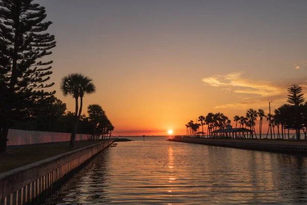 Paysage Arbres Dans Baie Tampa Entouré Par Mer Lors Magnifique — Photo