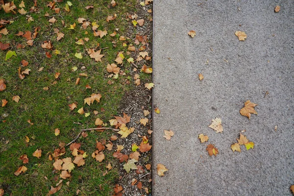 Een Prachtige Herfstachtergrond Omgevallen Bomen Gespleten Grond Met Links Gras — Stockfoto