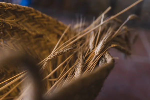 Ένα Ωραίο Thatch Καλάθι Πλακάκια Δαπέδου Άνθη Σιταριού Αυτό — Φωτογραφία Αρχείου