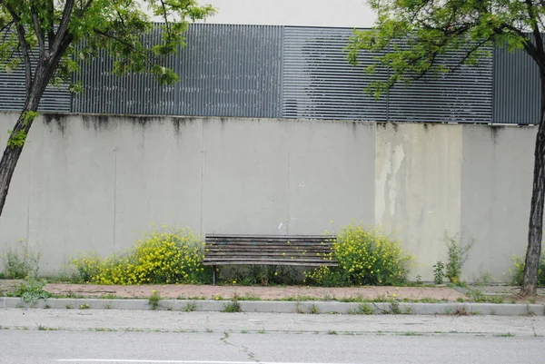 Ağaç Sarı Çiçekler Arasındaki Tahta Bir Bankın Görüntüsü — Stok fotoğraf