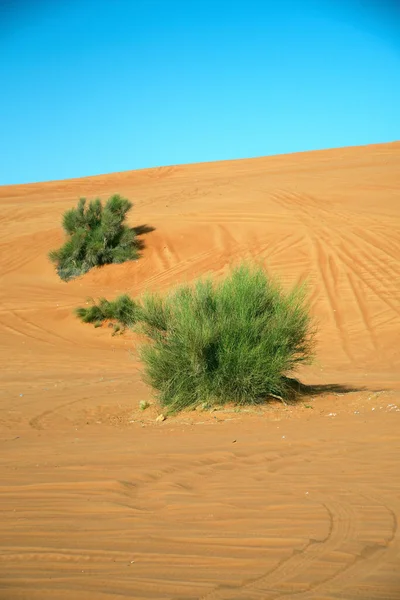 Függőleges Felvétel Rózsaszín Szikla Sivatag Alatt Tiszta Egyesült Arab Emírségek — Stock Fotó