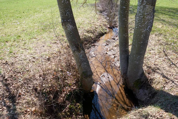 狭い溝のオーバーヘッドショットとフィールド内の木の幹 — ストック写真
