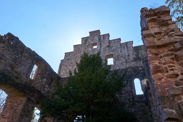 Plano Ángulo Bajo Las Ruinas Viejos Edificios Piedra Con Árboles —  Fotos de Stock