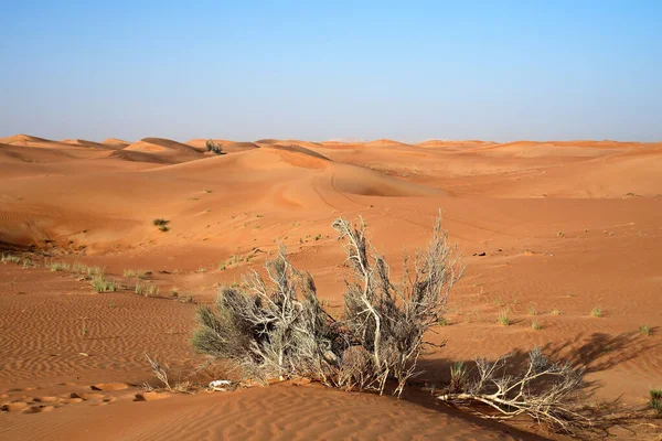 Een Prachtig Shot Van Roze Rots Woestijn Onder Een Heldere — Stockfoto