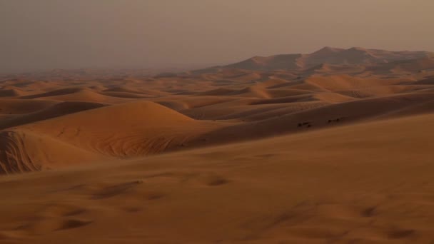 Désert Avec Magnifiques Vagues Sable Des Traces Pneus Voiture Dans — Video