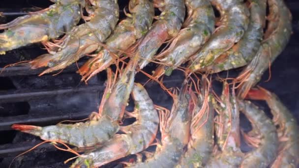 Udang Panggang Pada Tusuk Sate — Stok Video