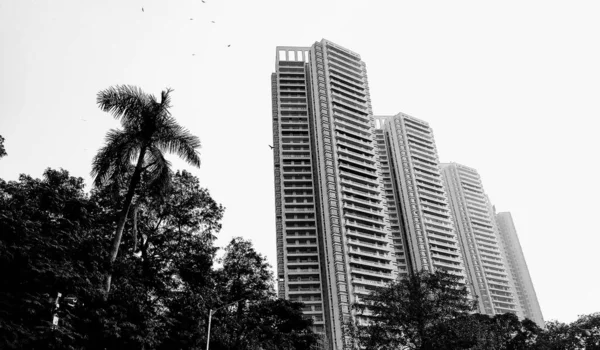 Tiro Escala Cinza Baixo Ângulo Edifícios Altos Árvores Contra Céu — Fotografia de Stock