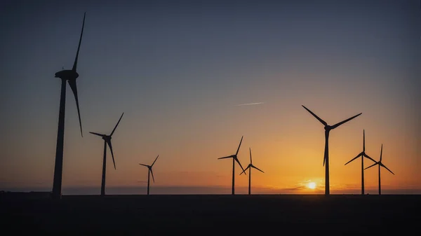 德国布索姆附近日落时的风车全景照片 — 图库照片